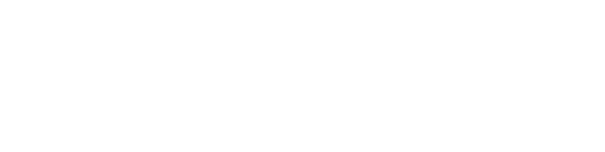Forzic